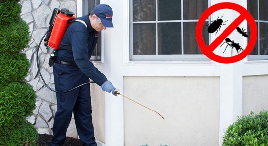 Foça Hamam Böceği İlaçlama böcek ilaçlama ve haşere kontrolü — ilaclama-tr.com